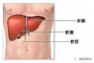 erp系统是什么意思啊