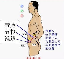 erp系统是什么意思啊