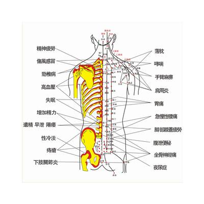 erp系统是什么意思啊