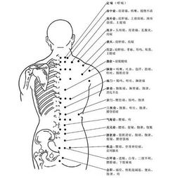 erp系统是什么意思啊