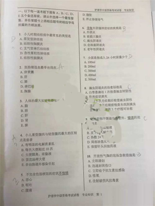 erp系统是什么意思啊