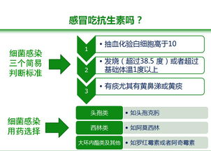 erp系统是什么意思啊