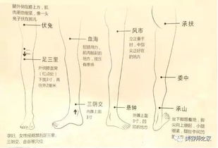 erp系统是什么意思啊