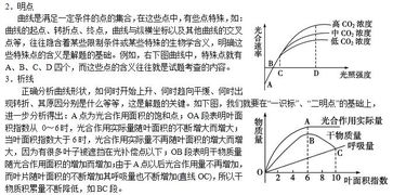 erp系统是什么意思啊