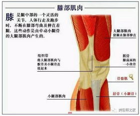 erp系统是什么意思啊