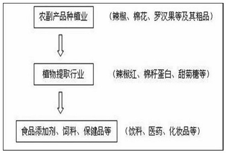 erp系统是什么意思啊