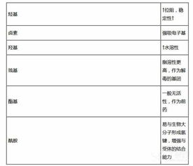 erp系统是什么意思啊