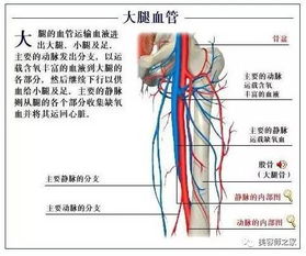 erp系统是什么意思啊