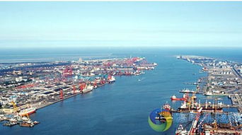 港口与航运管理专业知识