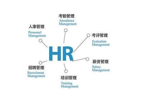 hr相关的专业知识