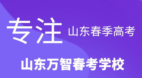 语文数学英语专业知识技能