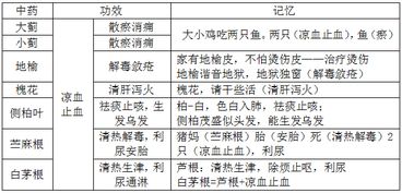 中药学专业知识二止血药严敬之