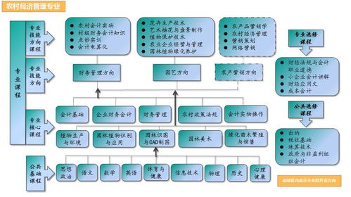 专业知识及综合表达