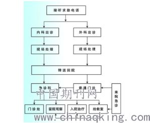 急诊科护理理论专业知识