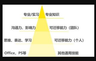 社交能力与专业知识