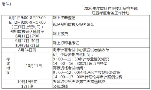 审计专业知识技能工作