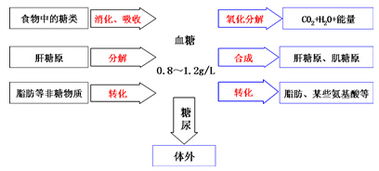 人体相关的专业知识